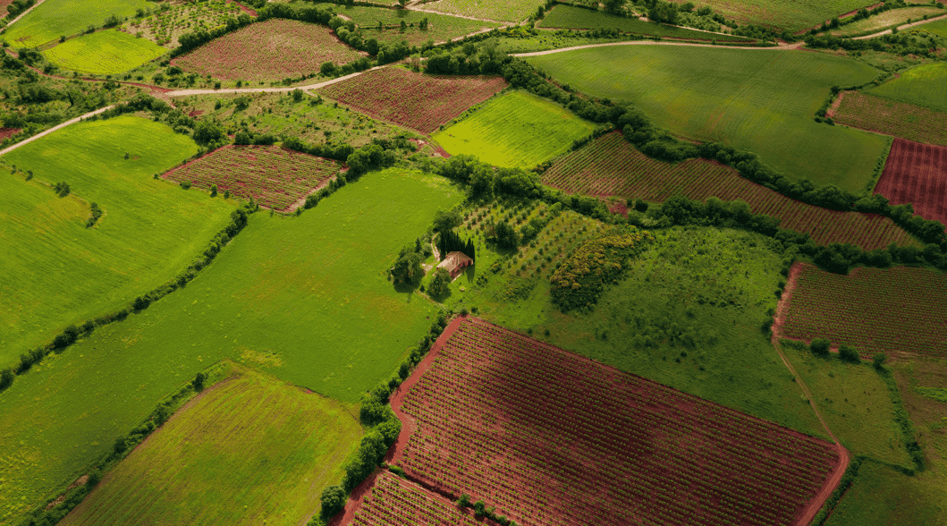 green farming land